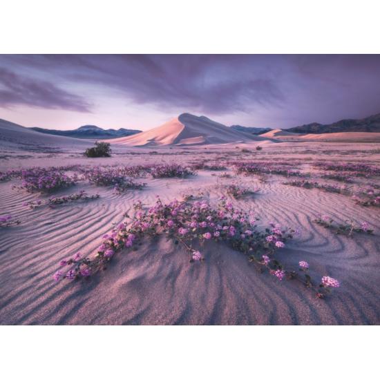 Heye Dynamic Desert Puzzle 1000 pièces