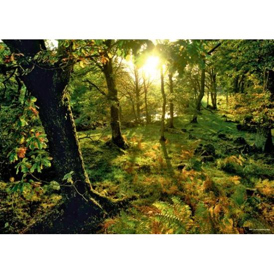 Puzzle Heye la forêt 1000 pièces