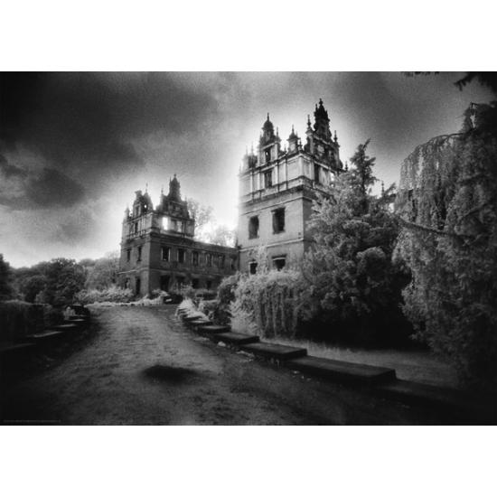 Puzzle Heye Le Château (SILVER EDITION) 1000 Pièces