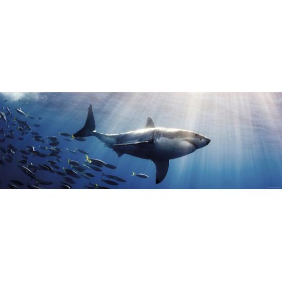 Heye Le grand requin blanc Puzzle 1000 pièces