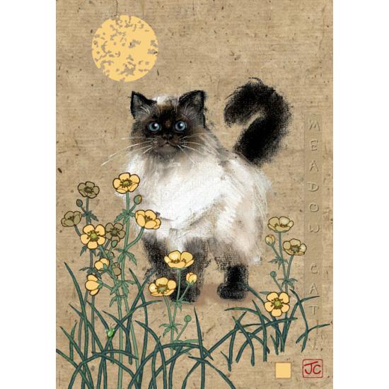 Heye Puzzle Chat Siamois 1000 pièces