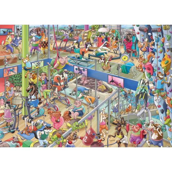 Puzzle Heye Gym pour animaux de compagnie Boîte Triangulair