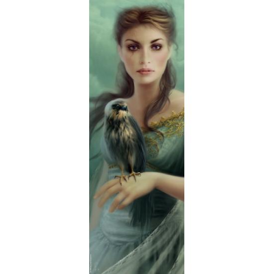 Puzzle Heye Falcon 1000 pièces