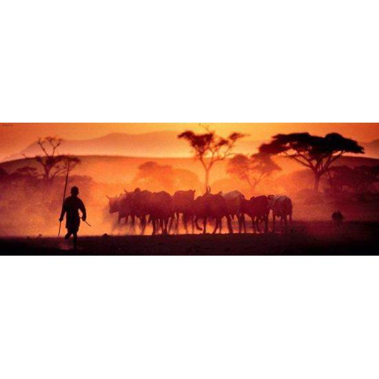 Heye Désert du Kalahari Puzzle 1000 pièces