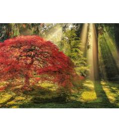Heye Puzzle Guiding Light 1000 pièces