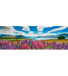 Heye Panoramic Lake Tekapo Puzzle 1000 pièces