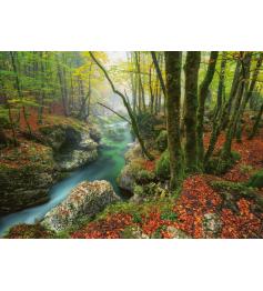 Heye Puzzle Petit Ruisseau 1000 Pièces