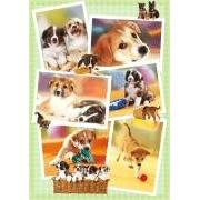 Puzzle Heye Puppies 1000 pièces