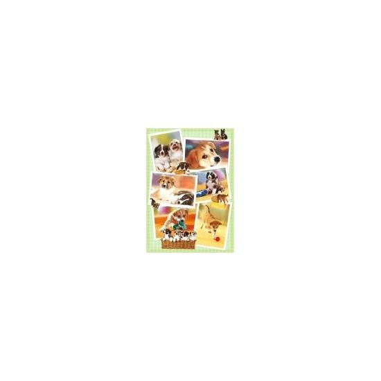 Puzzle Heye Puppies 1000 pièces