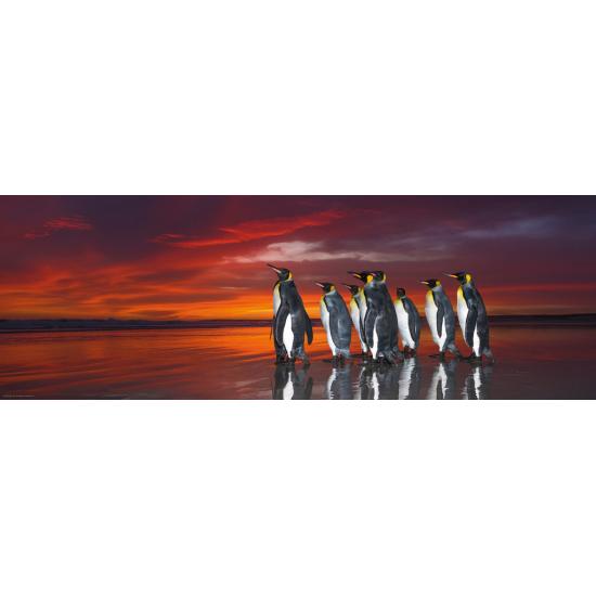 Puzzle Heye King Penguins 1000 pièces