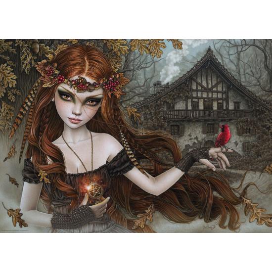 Puzzle Heye Redbird, oiseau rouge 1000 pièces