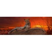 Puzzle Heye Sunset Red 2000 pièces