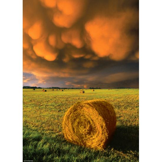 Heye Puzzle Rising Storm 1000 pièces
