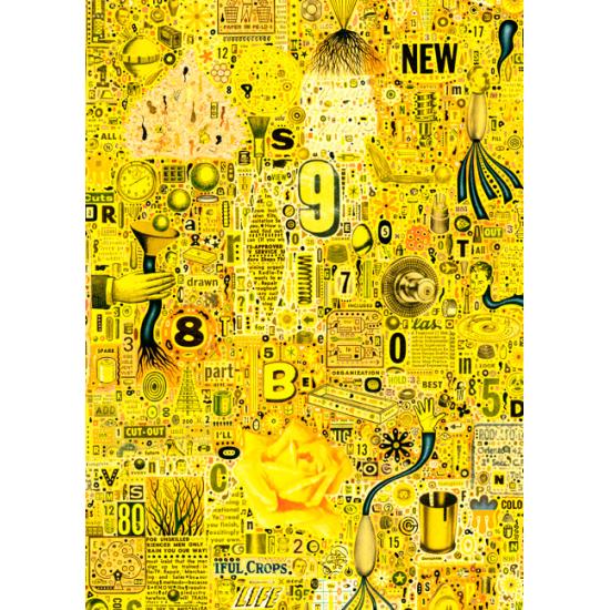Puzzle Heye Rose jaune 1000 pièces