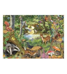 Puzzle House Of Puzzles Clairière au bord de la rivière XXL 500