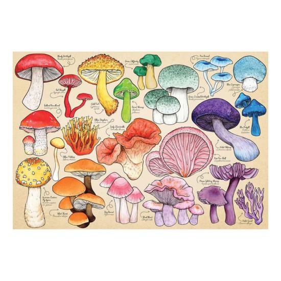 Puzzle House Of Puzzles Fantasy Champignons 1000 pièc