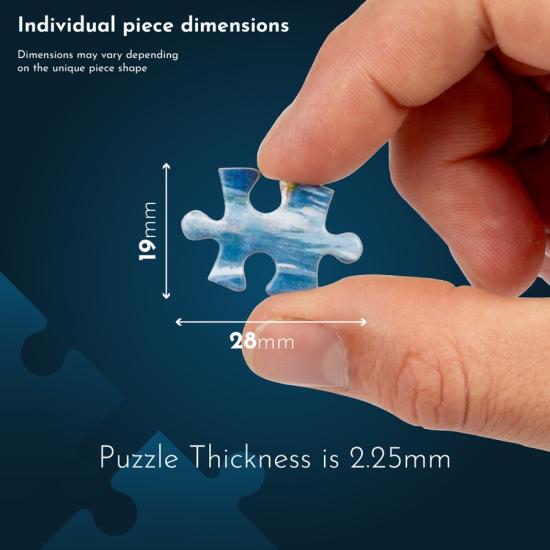 Puzzle House Of Puzzles Atasco de la Circulation 1000 Pieces