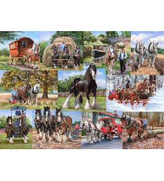 Puzzle House Of Puzzles Chevaux de bât 1000 Pieces
