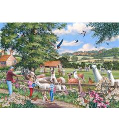 Puzzle House Of Puzzles Les Lamas 1000 Pieces