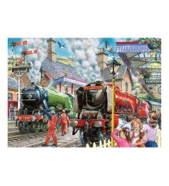 Puzzle House Of Puzzles Vérification de la Voie 1000 pièc