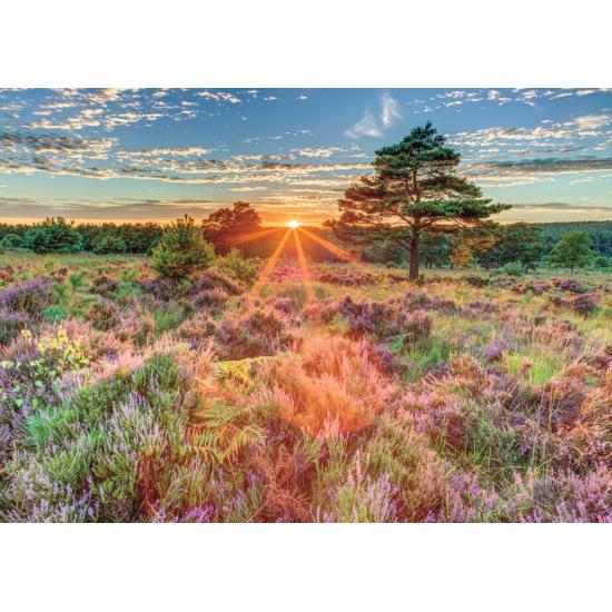 Puzzle géant de 500 pièces Sunset Heather