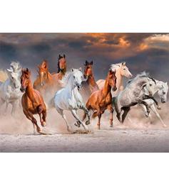 Puzzle géant Chevaux du désert 1000 pièces