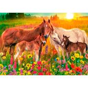 Chevaux dans le ruisseau Jumbo Puzzle 500 pièces
