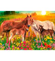 Chevaux dans le ruisseau Jumbo Puzzle 500 pièces