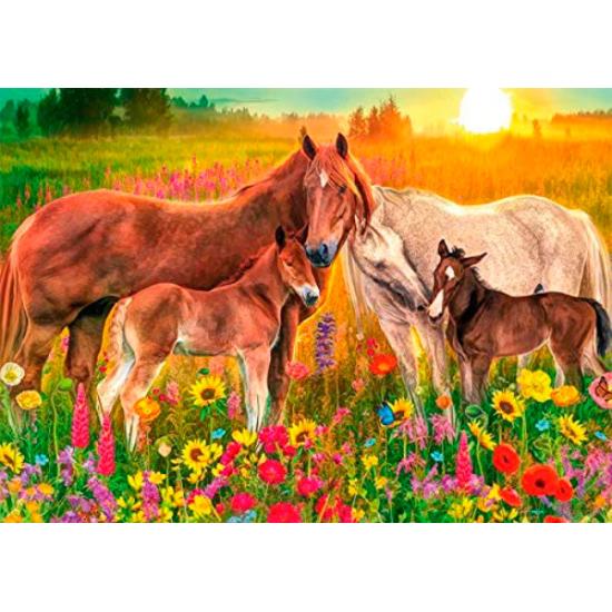 Chevaux dans le ruisseau Jumbo Puzzle 500 pièces