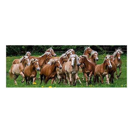 Puzzle Jumbo Chevaux dans le pré 1000 pièces
