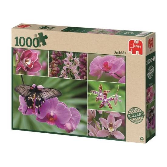 Puzzle Jumbo Orchidées 1000 pièces