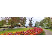 Puzzle géant panoramique Le Keukenhof, Pays-Bas 1000 pièces