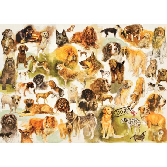 Affiche Chiens Jumbo Puzzle 1000 pièces