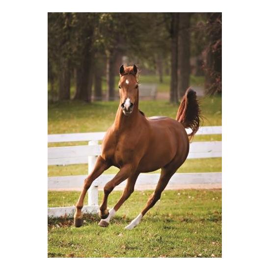 Jumbo Puzzle Poulain Jouant 500 Pièces Jumbo Puzzle Poulain Jouant 500 Pièces
