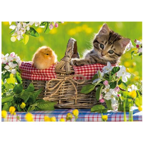 Préparé pour le puzzle Jumbo Picnic 500 pièces