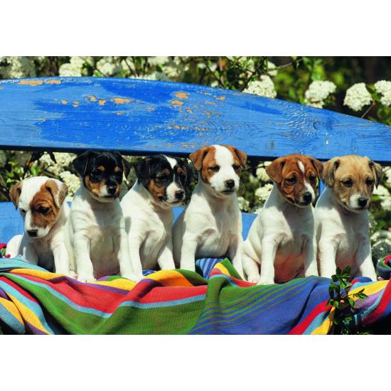 Jumbo Puzzle Qu'est-ce que c'est 1000 pièces