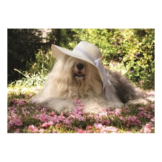 Puzzle Jumbo Sophie dans un parterre de fleurs 500 pièces