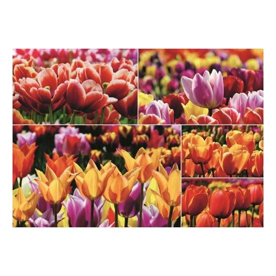 Puzzle géant tulipes hollandaises 1000 pièces