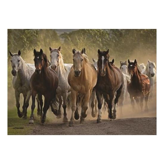 Puzzle Jumbo Un groupe de chevaux 1000 pièces