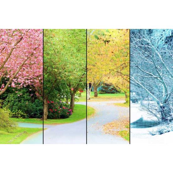 Magnolia Arbre des Quatre Saisons Puzzle 1500 pièces Magnolia Arbre des Quatre Saisons Puzzle 1500 pièces