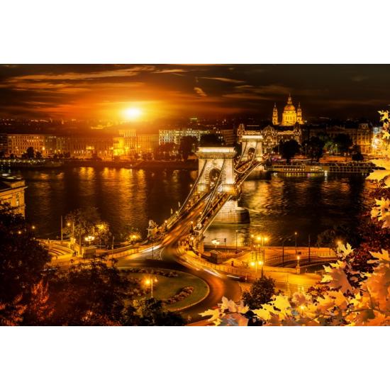 Magnolia Budapest, Hongrie Puzzle 2000 pièces