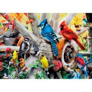 MasterPieces Puzzle 1000 pièces Oiseaux de jardin