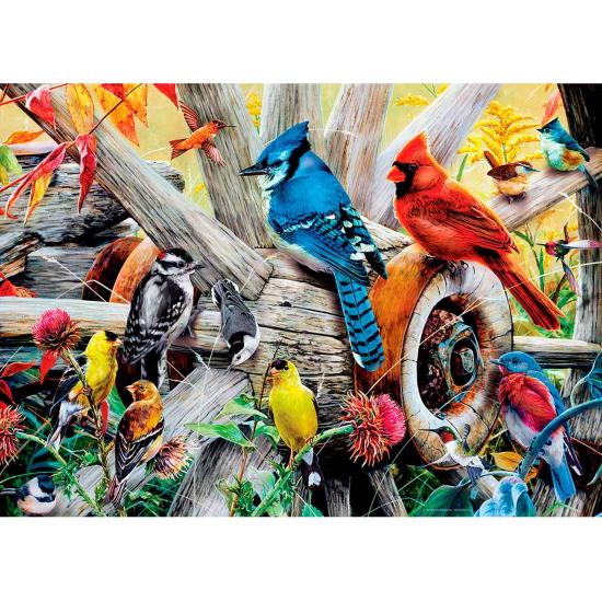 MasterPieces Puzzle 1000 pièces Oiseaux de jardin