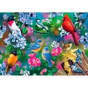 MasterPieces Songbirds Collage Puzzle 1000 pièces