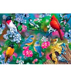 MasterPieces Songbirds Collage Puzzle 1000 pièces
