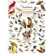 Puzzle MasterPieces Oiseaux chanteurs 1000 pièces