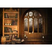 Puzzle Nova Wizard's Library 1000 pièces