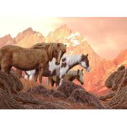 Puzzle Nova Wild Horses 1000 pièces