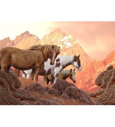 Puzzle Nova Wild Horses 1000 pièces