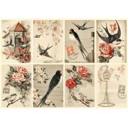 Puzzle 1000 pièces Nova Collage Vintage Birds